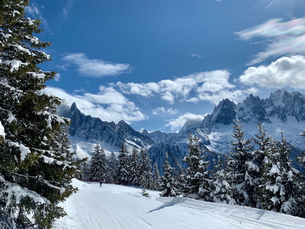 Vue forêt et montagne Brevent